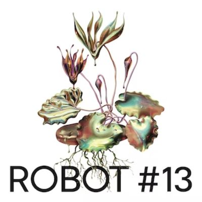 Robot Festival 13